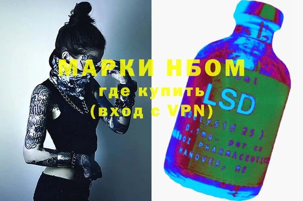 шишки Армянск