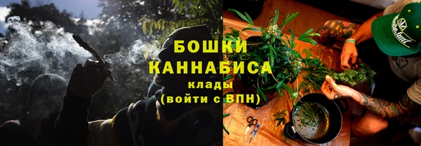 шишки Армянск