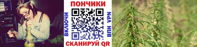 Бошки Шишки марихуана  Соль-Илецк 